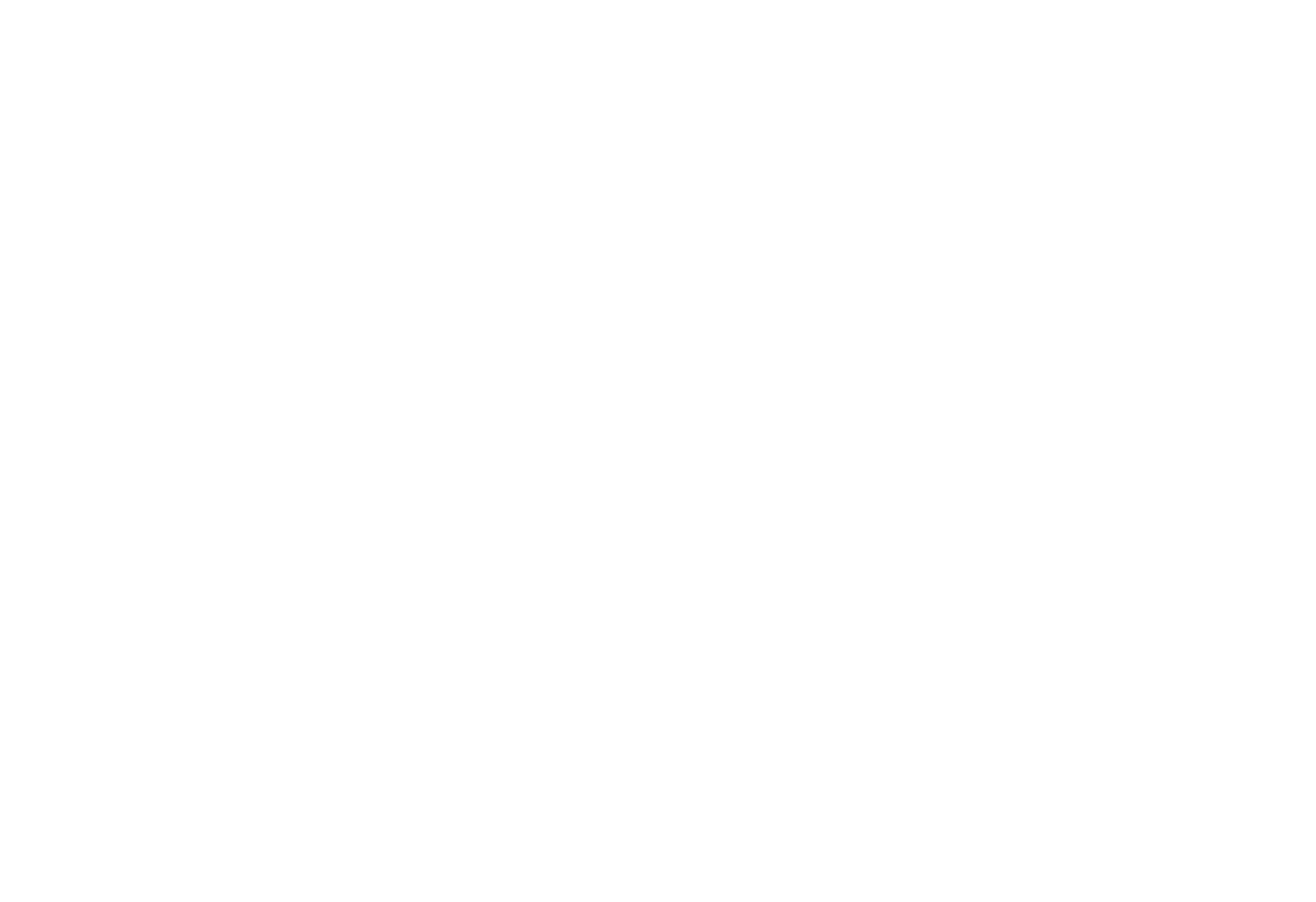 Logo Fiorini Mayorista de Flores